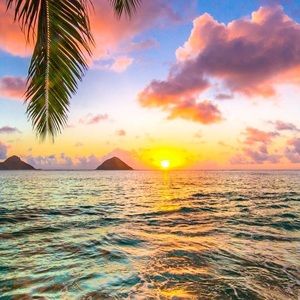 Meet your Posher, Hanna